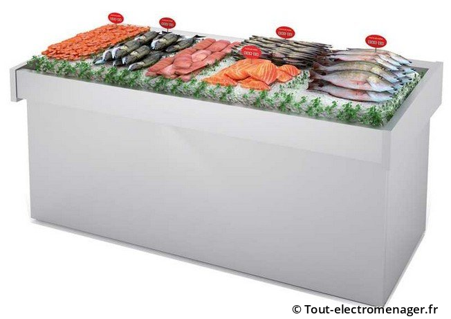 Table réfrigérée pour poisson et crustacé Table réfrigérée pour poisson et crustacé