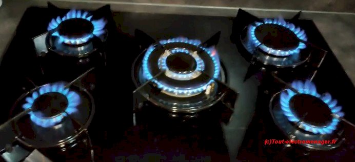 Injecteurs adaptés au gaz flamme bleues stables Injecteurs adaptés au gaz flamme bleues stables