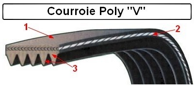 tout-electromenager.fr - courroies Poly "V"